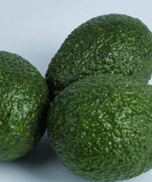 avocado