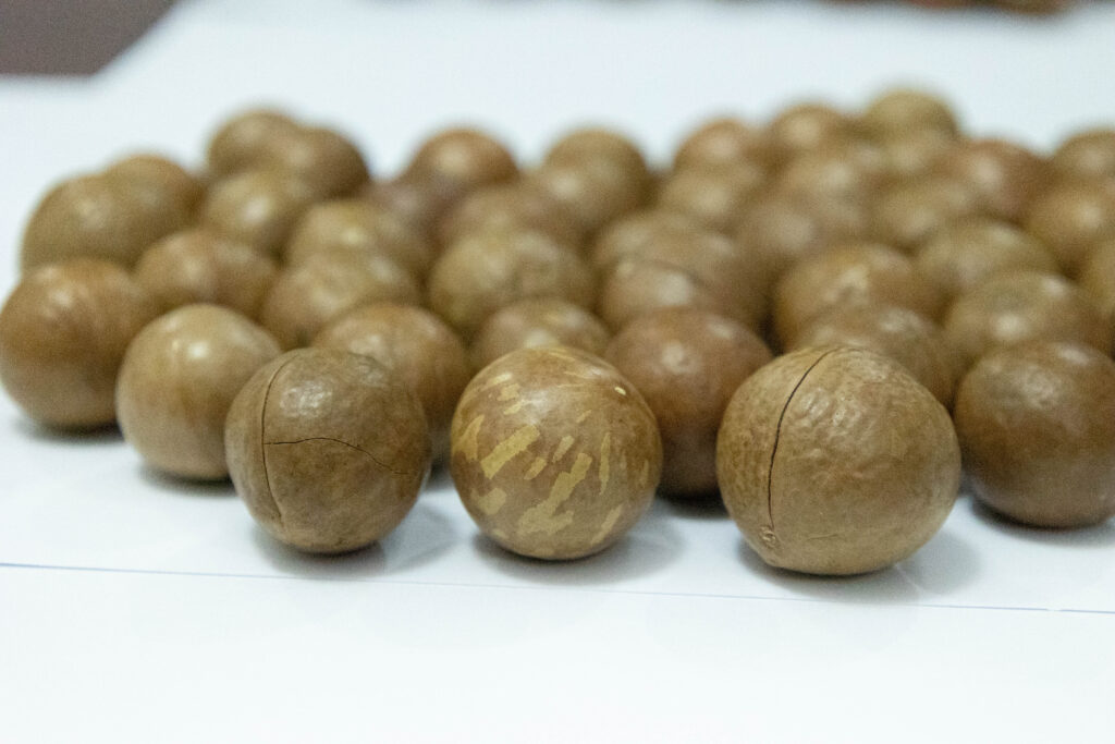 macadamia nuts supplier in Kenya