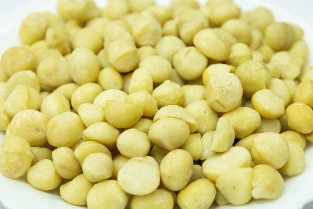 macadamia exporter in Kenya